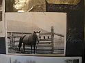 Ina's horse Flossie